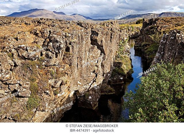 Canyon between drifting North American and Eurasian tectonic plates, Öxará river, Thingvellir National Park, Golden Circle, Iceland