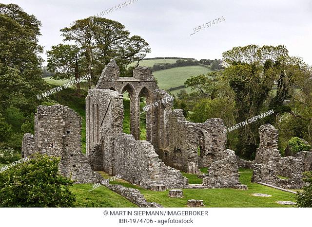 Ruins of Inch Abbey, Downpatrick, County Down, Northern Ireland, Ireland, United Kingdom, Europe, PublicGround