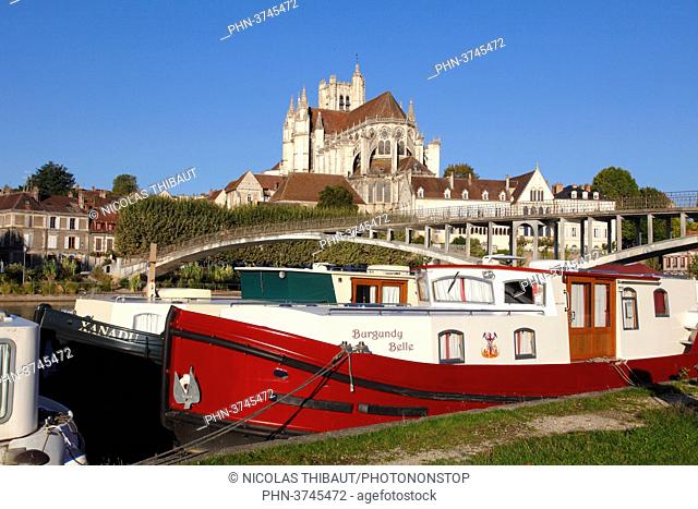 France, Bourgogne Franche Comte region (Burgundy), Yonne department, Auxerre, Saint Etienne cathedral