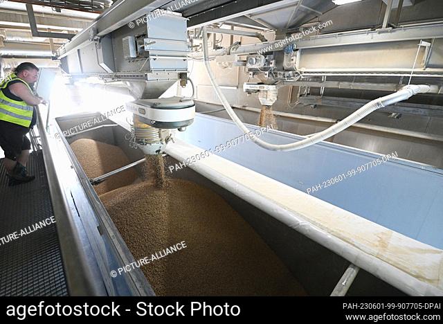 25 May 2023, Bavaria, Unterbernbach: Finished wood pellets being filled into a truck at a sawmill - - taken during a field trip along the value chain of a wood...