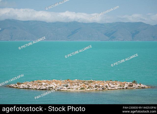 29 July 2023, Armenia, Sewan: Birds on an island in Lake Sevan. Photo: Sebastian Kahnert/dpa. - Sewan/Gegharkunik/Armenia
