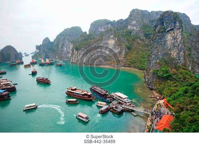 Boats in a bay, Ha Long Bay, Quang Ninh Province, Vietnam