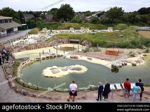 12 July 2022, Schleswig-Holstein, Friedrichskoog: View from the visitor platform of the various seal ponds after feeding the young animals at the Friedrichskoog...