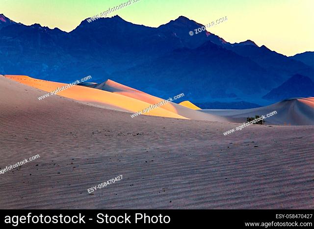 Mesquite Flat Sand Dunes is a picturesque part of Death Valley in California. USA. Light sand waves from the desert wind