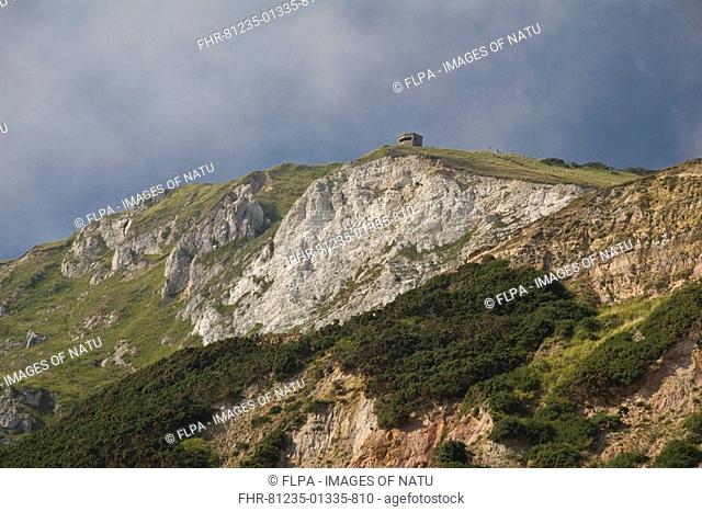 Coastal cliffs, Jurassic-Cretaceous geological formations, Purbeck Formation, Wealden fluvial clastics, Worbarrow Bay, Dorset, England