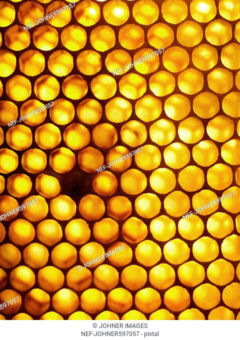 Honeycomb, Sweden