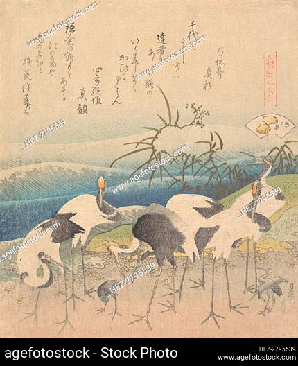 Ashi Clam, from the series Genroku Kasen Kai-awase, 1821. Creator: Hokusai