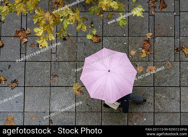 13 November 2023, Baden-Württemberg, Stuttgart: A passer-by walks under an autumnal tree with an umbrella along the cobbled Königstraße