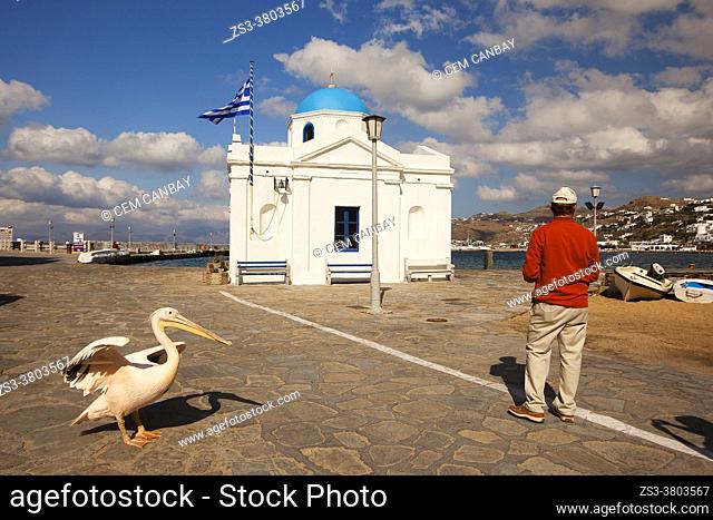 Pelican the town mascot and a tourist in front of the blue domed church by the sea at the town center, Mykonos, Cyclades Islands, Greek Islands, Greece, Europe