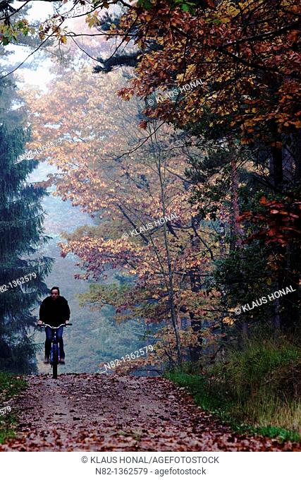 Biker in autumn forest - Bavaria/Germany