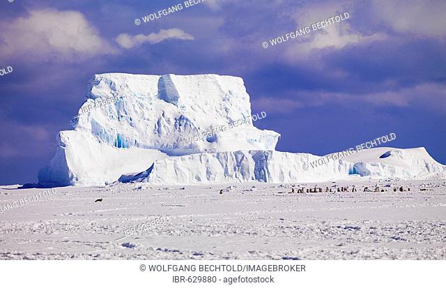 Large iceberg in front of Cape Washington with an Emperor Penguin colony (Aptenodytes forsteri), Antarctic