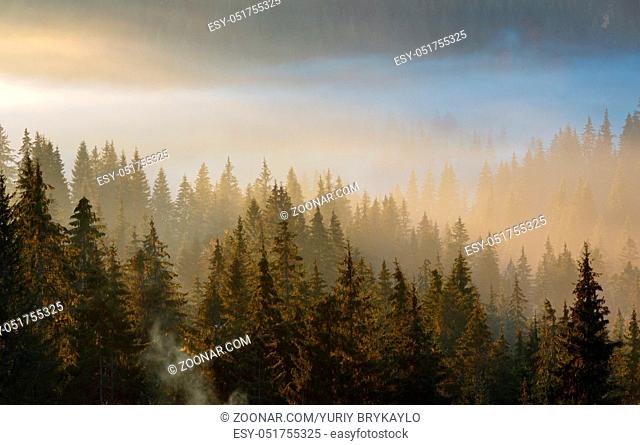 Early morning fog and first morning sun rays over the autumn slopes of Carpathian Mountains (Yablunytsia village and pass, Ivano-Frankivsk oblast, Ukraine)