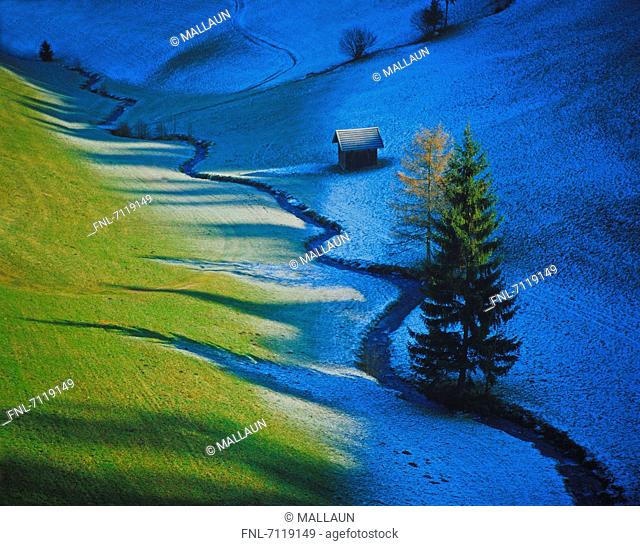 Alpine meadow in partial shade, Tulfes, Tyrol, Austria