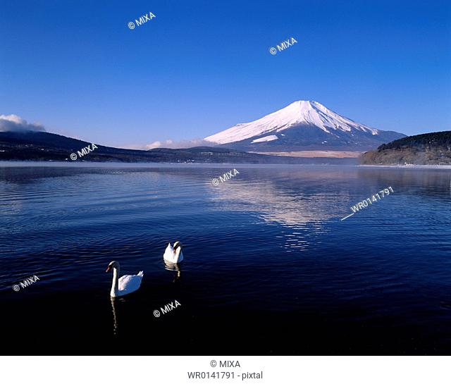 Mt.Fuji And Lake, Yamanashi, Japan