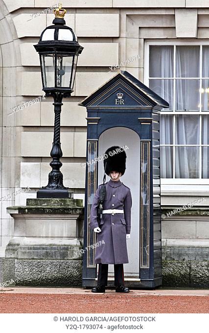 Honor Guard at Buckingham Palace, London, England, United Kingdom
