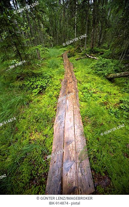 Wooden path leading through the Aabla Raba marsh, Lahemaa National Park, Estonia, Baltic States, Europe