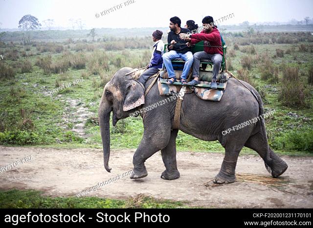 Tourist ride on elephant through Kaziranga National Park, Assam, India on 9 March, 2019. Kaziranga National Park in Assam in the northeast of India is a reserve...