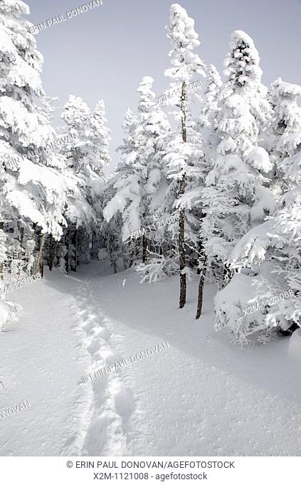 Mount Osceola Trail on the summit of Mount Osceola in the White Mountains, New Hampshire USA during the winter months