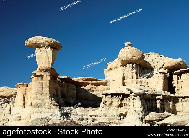 Strange Rock Formation in Bisti Badlands Valley of Dreams New Mexico USA