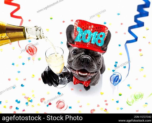 french bulldog dog celebrating new years eve with owner and champagne glass isolated onwhite with serpentine streamers and confetti