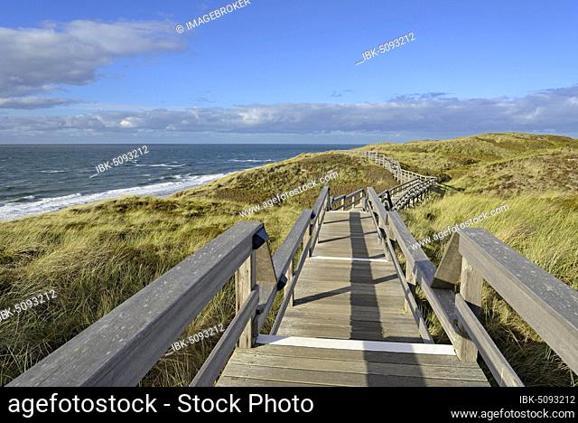 Boardwalk in the dunes, beach between Wenningstedt and Kampen, Sylt, North Frisian Island, North Sea, North Frisia, Schleswig-Holstein, Germany, Europe