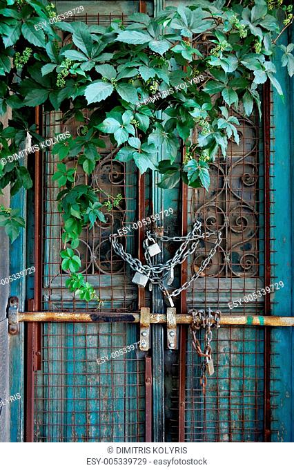 vintage door and overgrown plant