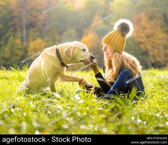 Smiling woman playing with dog in park during autumn season