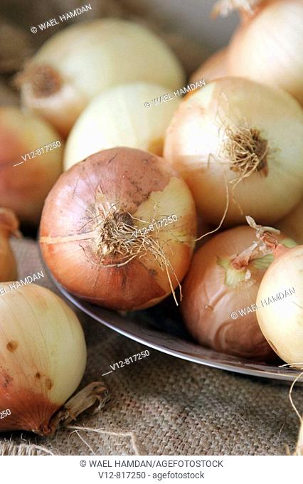 Onions in dish