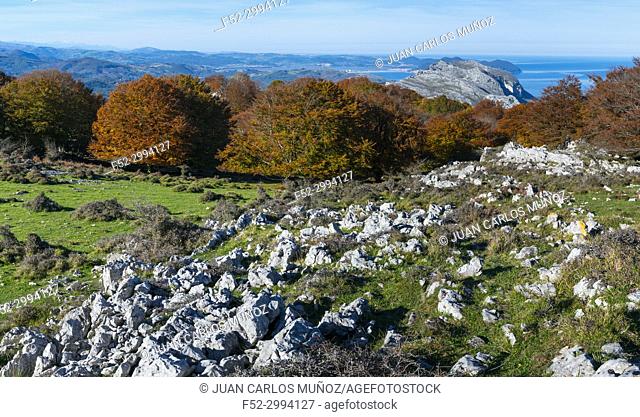 View of Mount Candina from Mount Cerredo, Beech forest in autumn at Cerredo Mountain, Cantabrian Sea, MONTAÑA ORIENTAL COSTERA MOC, Castro Urdiales, Cantabria