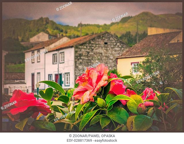 Homes in Furnas and pink azalea flowers