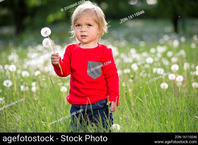 Baby in the meadow. Little child with a dandelion in the hands on the green field
