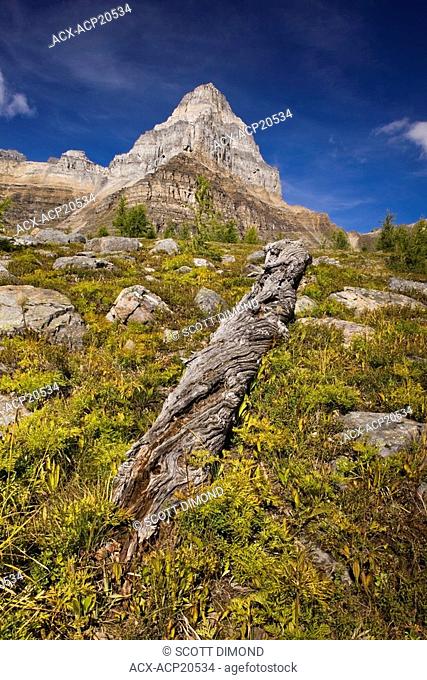 Sentinel Pass, Valley of the Ten Peaks, Larch Valley, Banff National Park, Alberta, Canada