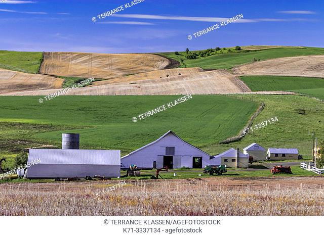 Farm buildings in the rolling hills near Grangeville, Idaho, USA