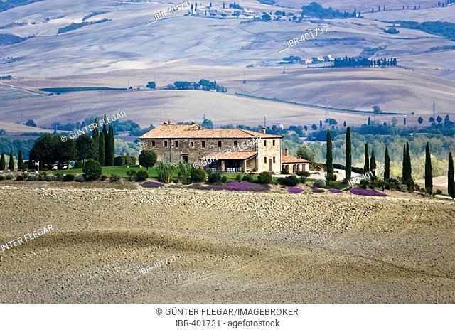 With cypresses (Cupressus) lined country house in the valley Val d'Orcia Crete Tuscany Italy