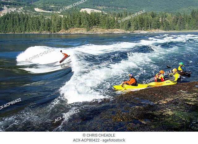 Whitewater kayakers on flood tide at Skookumchuck Narrows, Sechelt Inlet, Sunshine Coast, British Columbia, Canada