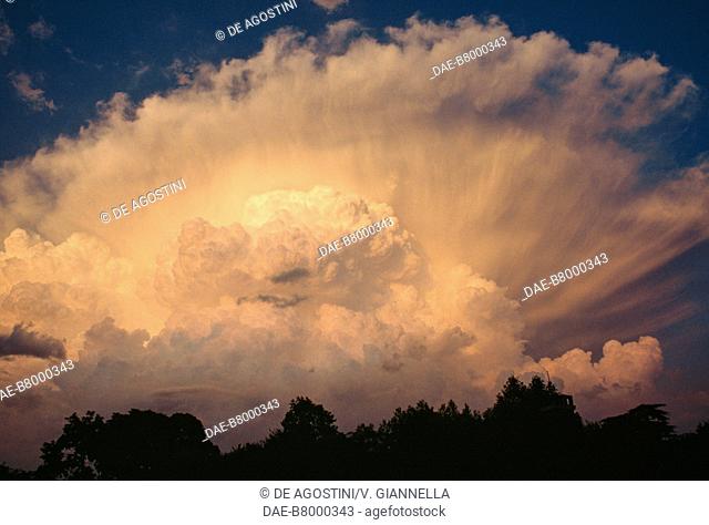 Anvil cloud (Cumulonimbus incus), Marche, Italy
