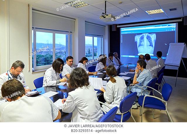 Committee of Tumors, Oncology, clinical session, Hospital Donostia, San Sebastian, Gipuzkoa, Basque Country, Spain