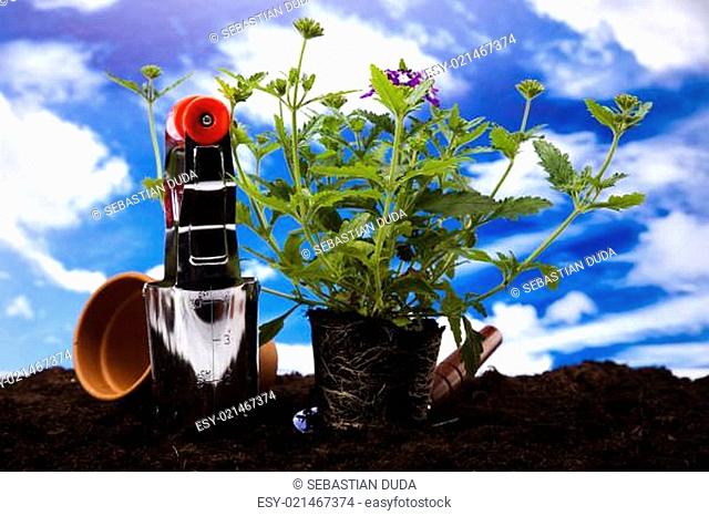 Flowers and garden tools on blue sky background