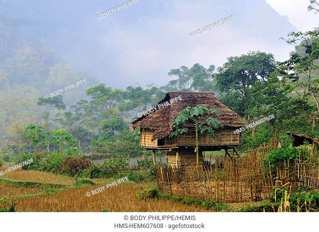 Vietnam, Ninh Binh Province, Cuc Phuong National Park, Ban Hieu, traditional stilt house