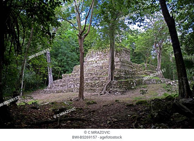 ruins in muyil, Mexico, Yucatan, Muyil
