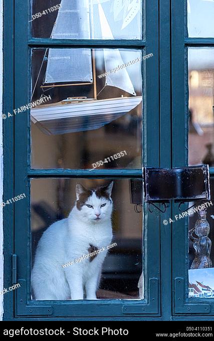 Dragor, Denmark A cat sits in the window looking out and a model sailboat
