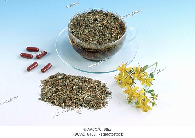 Perforate St. John's Wort fresh and dried cup of tea and tablets Hypericum perforatum indoor
