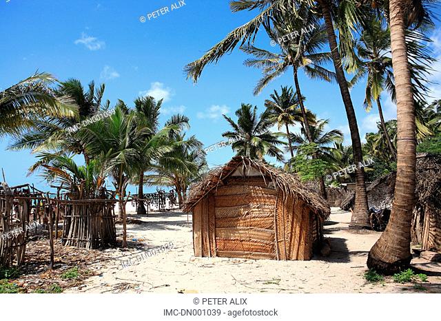 Tanzania, Zanzibar Unguja island, Nungwi beach, palm cabana