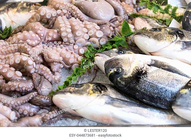 Background of fish, shrimp clams in the markets of Milan in Italy