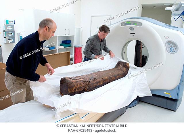 Conservator Hans Effenberg (L) and museologist Juergen Lange of the Dresden State Art Collections (SKD) prepare a 1600-year-old mummy for a computed tomography...
