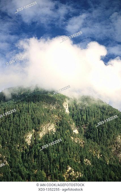 forested mountainside with low stratus cloud, fog, Sechelt Inlet, British Columbia, Canada