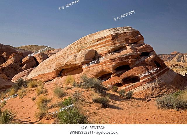 sandstone rock formation in the Valley of Fire, USA, Nevada, Valley Of Fire