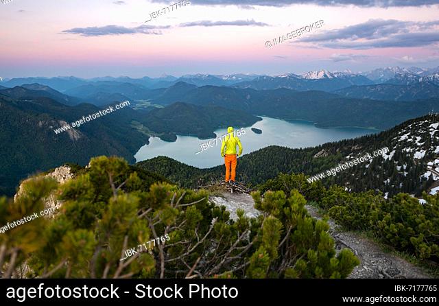 Hiker at the summit of Herzogstand, mountain panorama and Walchensee at sunset, ridge walk Herzogstand Heimgarten, Upper Bavaria, Bavaria, Germany, Europe