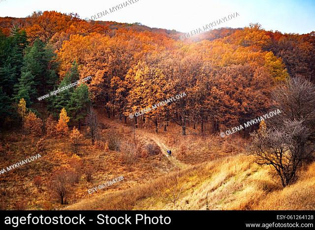 Bright autumn sunset over trees on hills in Ukraine