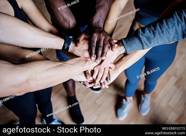 Multi-ethnic group of friends huddling while standing in gym
